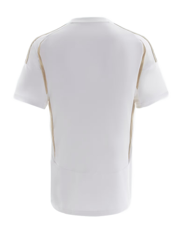 Al Nassr Third Kit 2024-2025