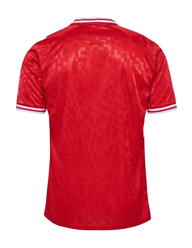 Denmark Home Kit 2024