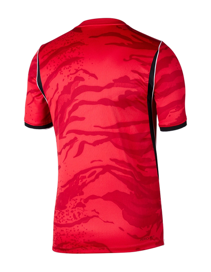 South Korea Home Kit 2026